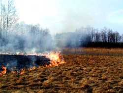 Pożar łąk (fot.M.K)